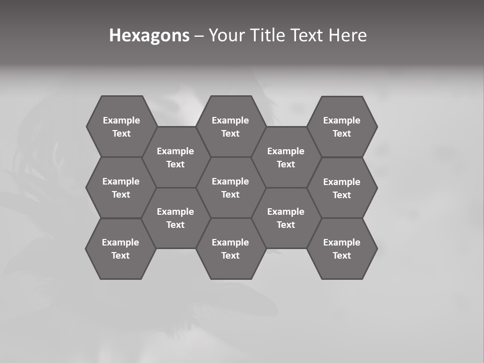 Gothic Girl Monster Blackbird PowerPoint Template