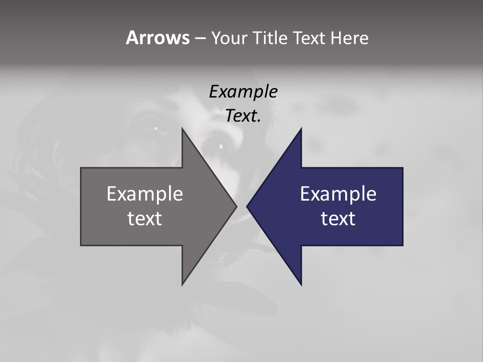 Gothic Girl Monster Blackbird PowerPoint Template