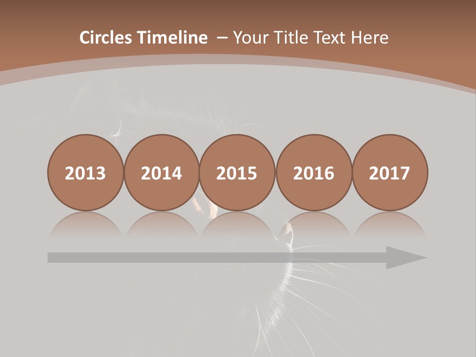 Adorable Yellow Furry PowerPoint Template