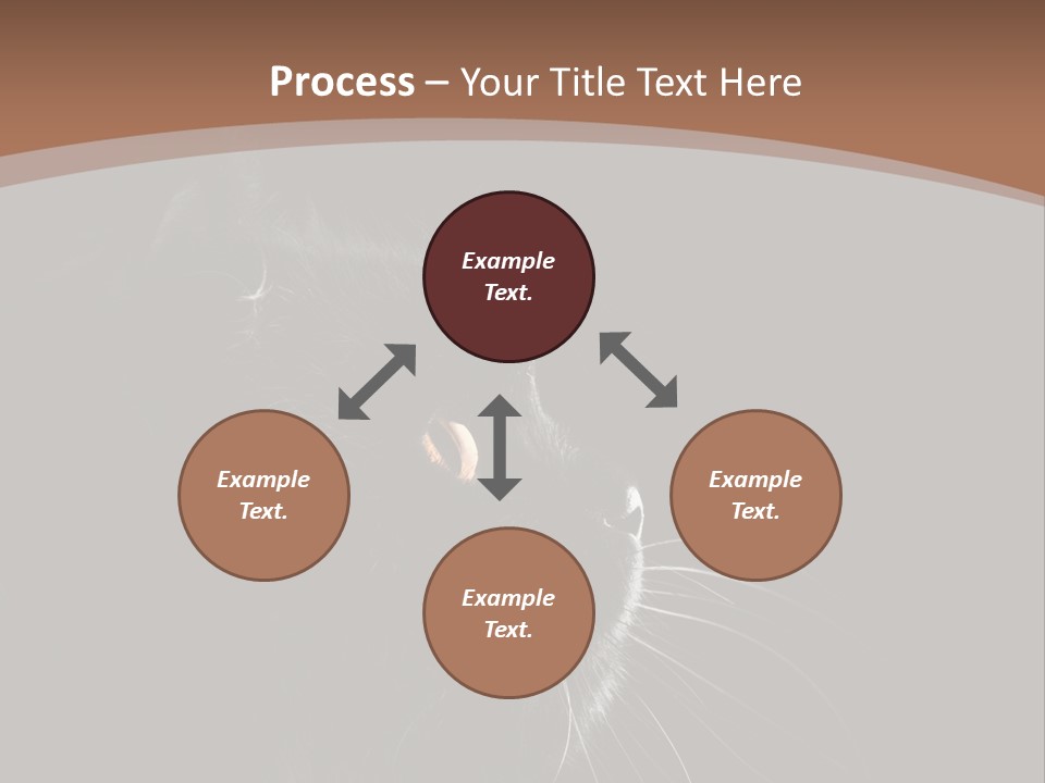 Adorable Yellow Furry PowerPoint Template