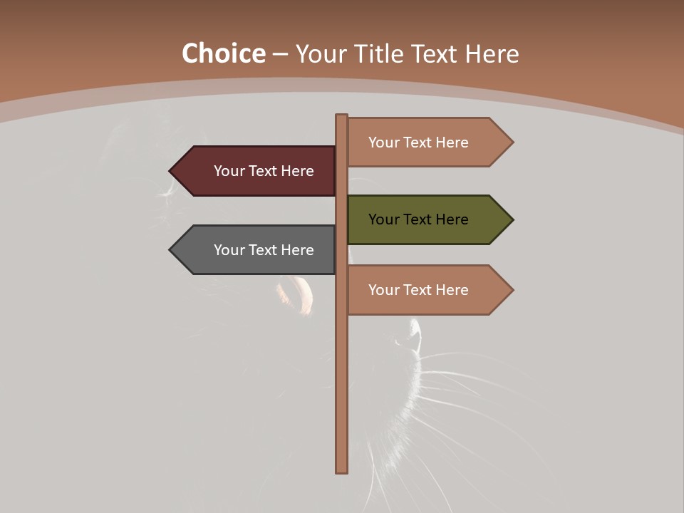 Adorable Yellow Furry PowerPoint Template
