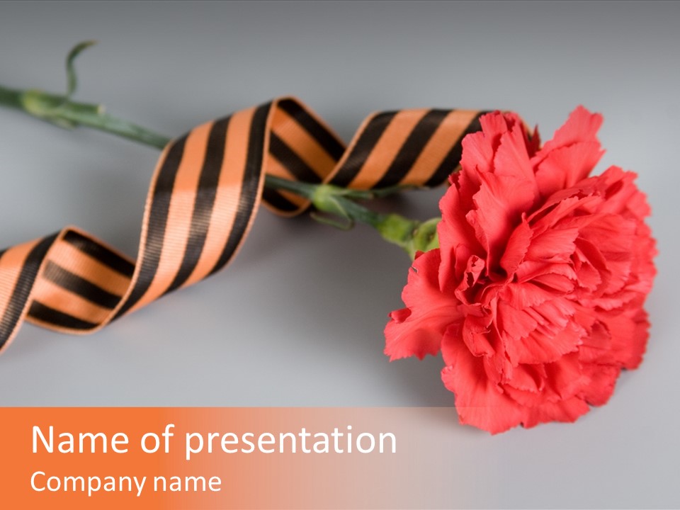 Decoration Red Bow PowerPoint Template