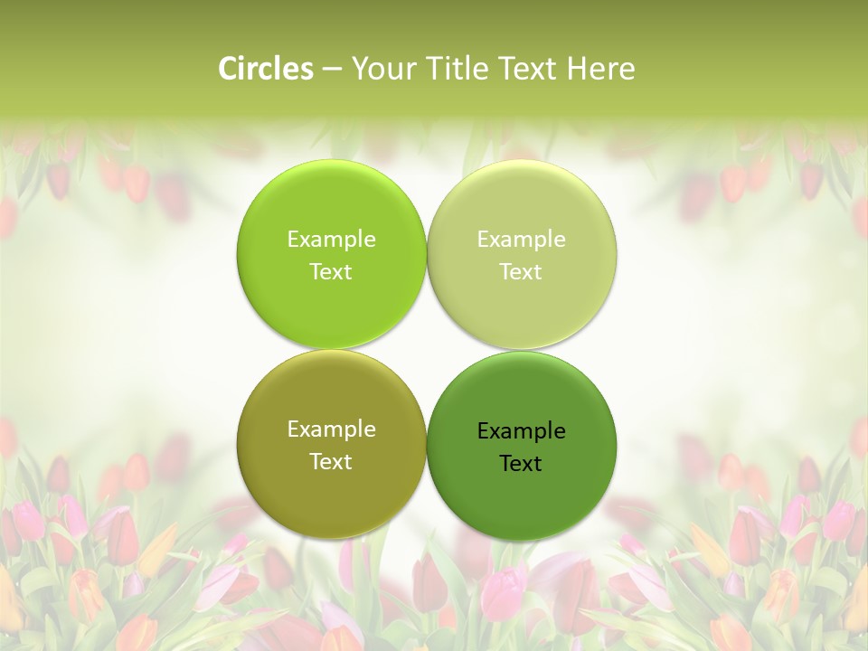Bloom Easter Blossom PowerPoint Template