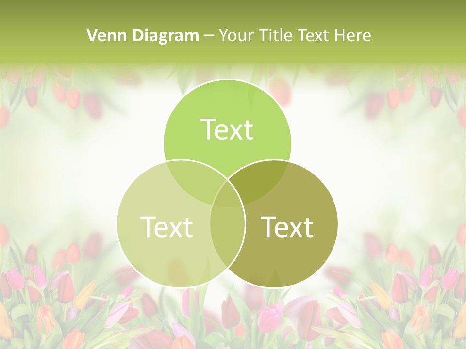 Bloom Easter Blossom PowerPoint Template