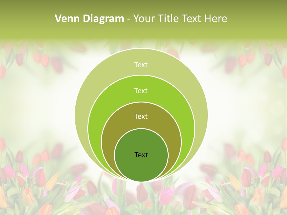 Bloom Easter Blossom PowerPoint Template