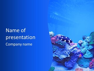 Aquatic Wildlife Depth PowerPoint Template