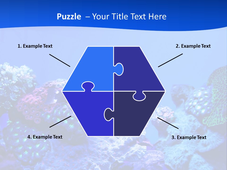 Aquatic Wildlife Depth PowerPoint Template