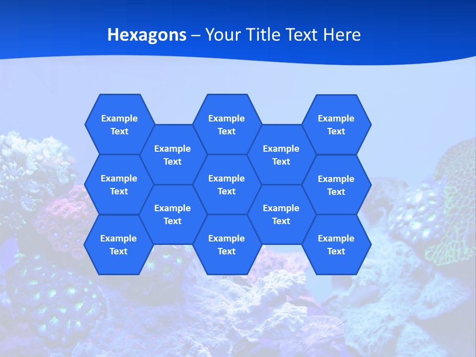 Aquatic Wildlife Depth PowerPoint Template