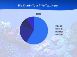 Aquatic Wildlife Depth PowerPoint Template