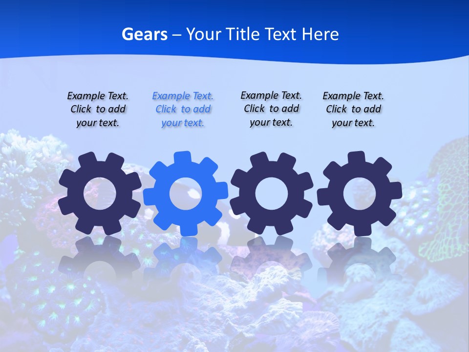 Aquatic Wildlife Depth PowerPoint Template