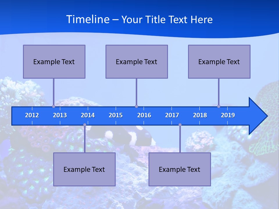 Aquatic Wildlife Depth PowerPoint Template