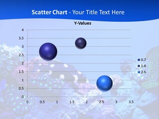 Aquatic Wildlife Depth PowerPoint Template