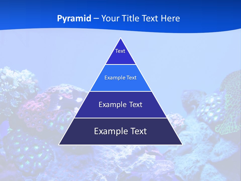 Aquatic Wildlife Depth PowerPoint Template
