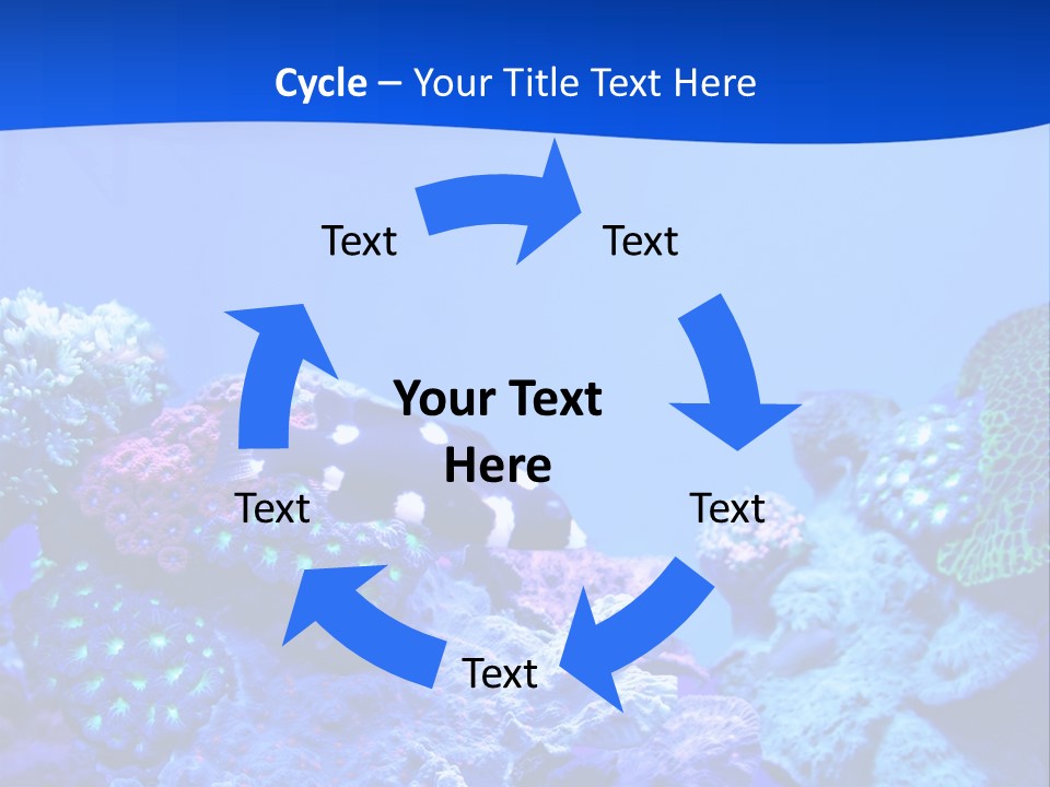 Aquatic Wildlife Depth PowerPoint Template