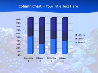 Aquatic Wildlife Depth PowerPoint Template