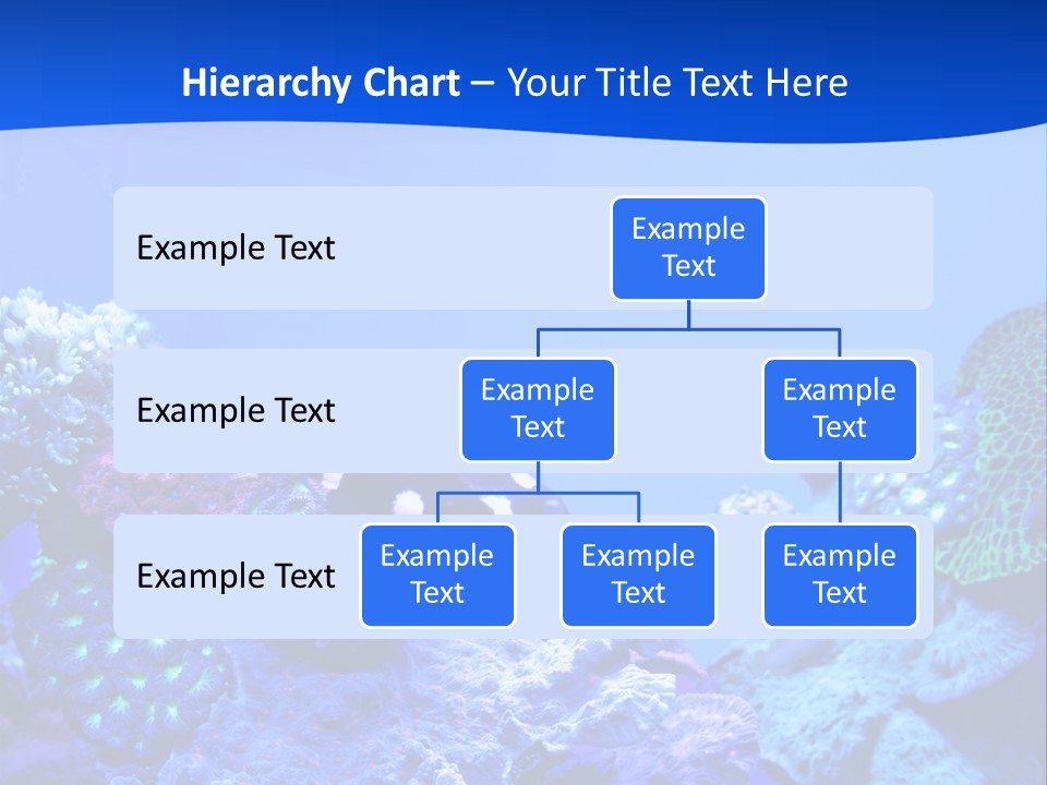 Aquatic Wildlife Depth PowerPoint Template