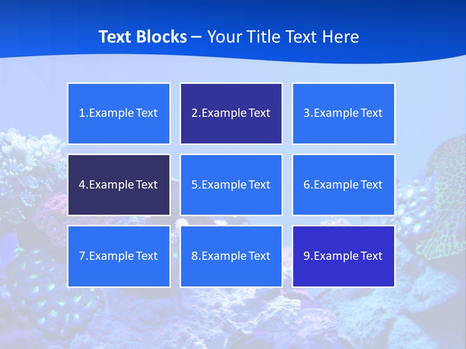 Aquatic Wildlife Depth PowerPoint Template