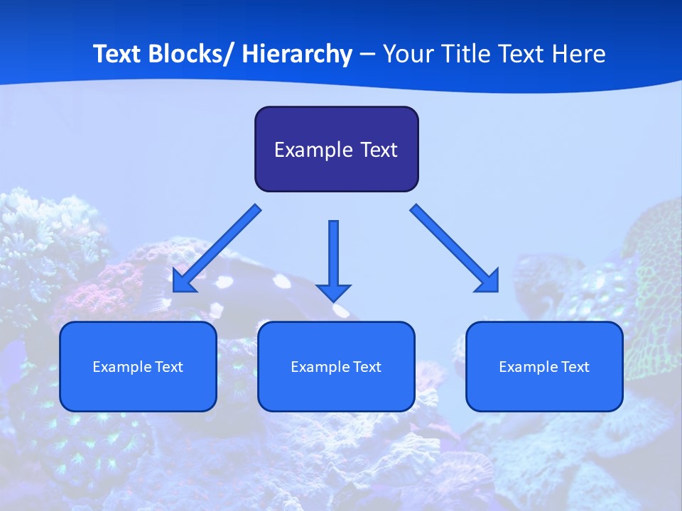 Aquatic Wildlife Depth PowerPoint Template