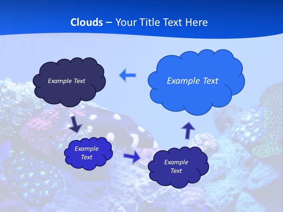 Aquatic Wildlife Depth PowerPoint Template