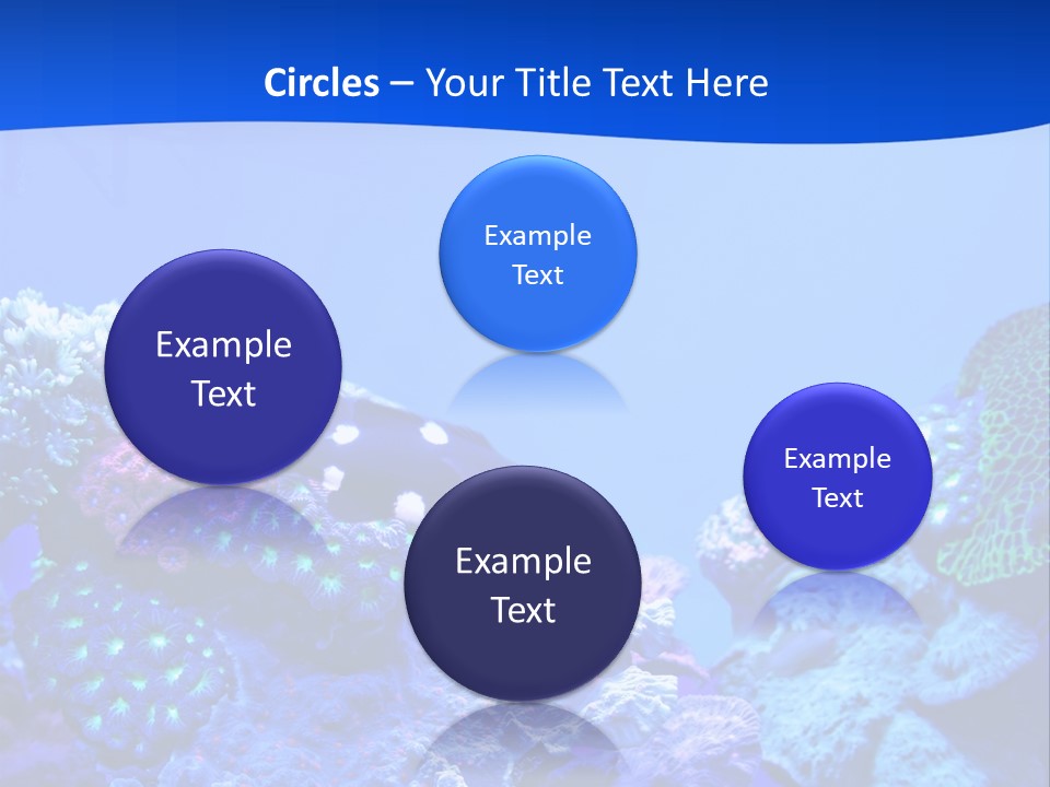 Aquatic Wildlife Depth PowerPoint Template