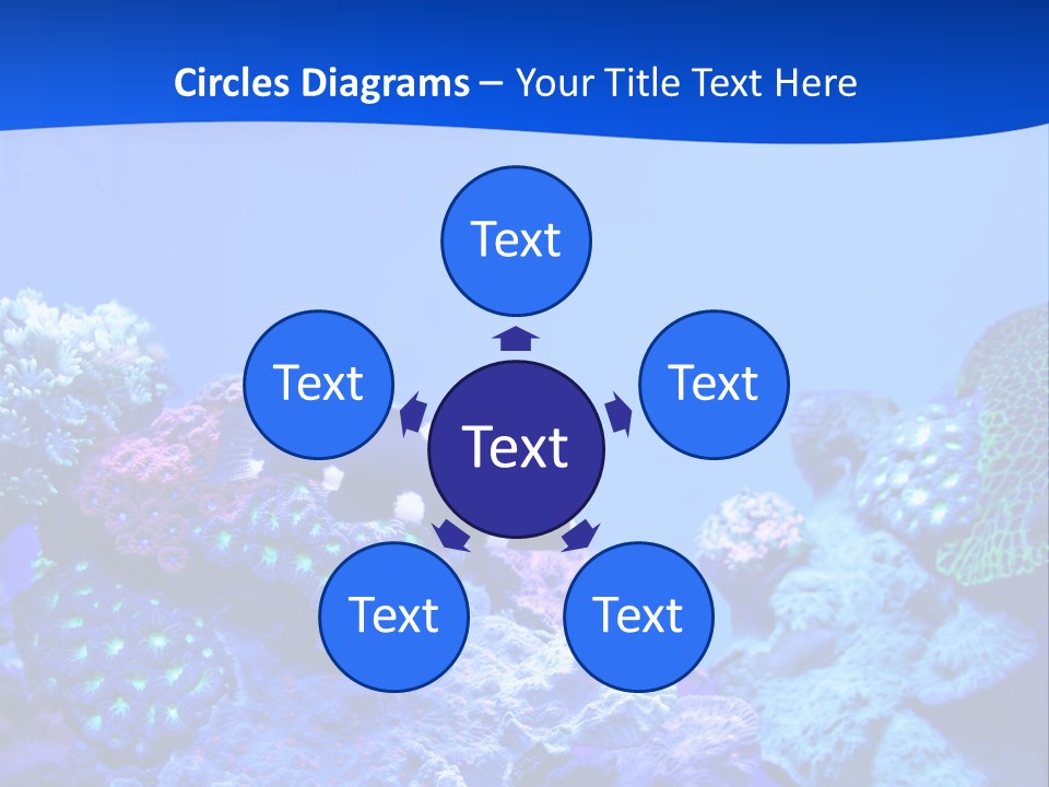 Aquatic Wildlife Depth PowerPoint Template