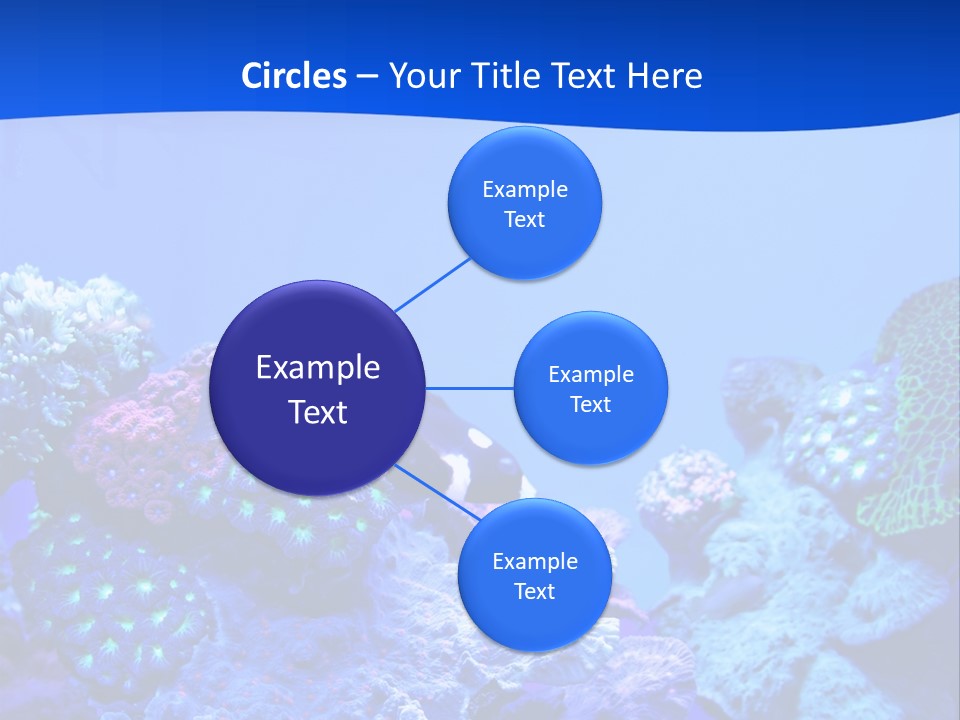 Aquatic Wildlife Depth PowerPoint Template