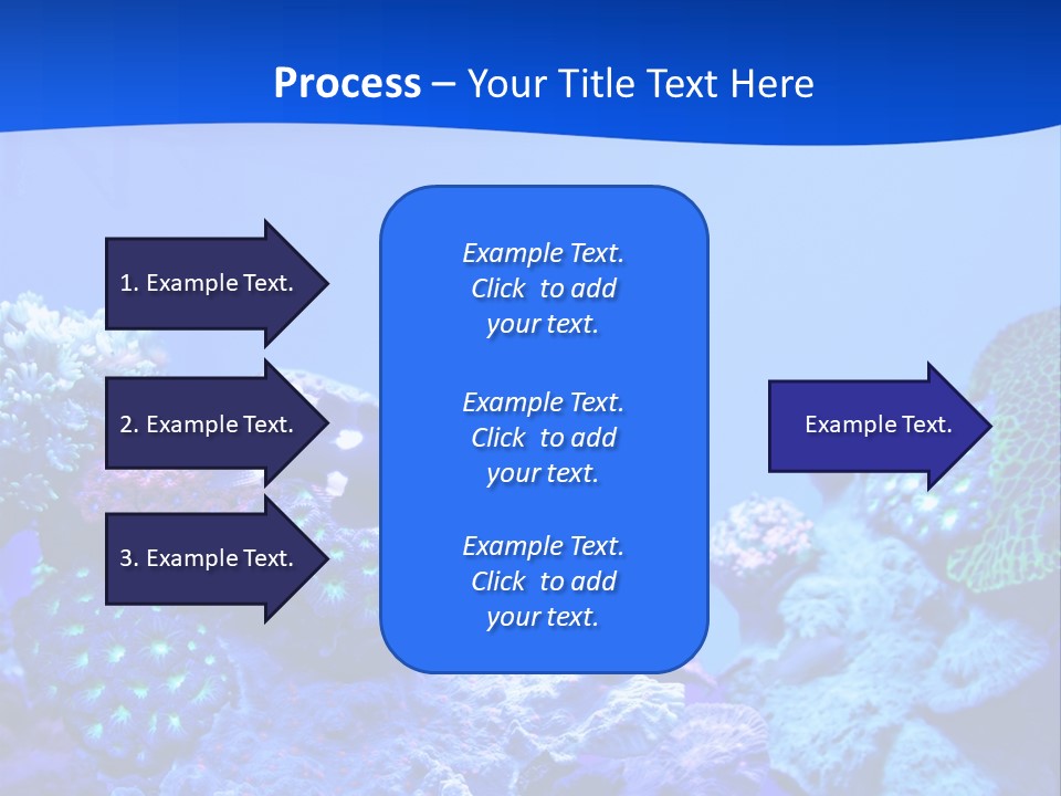 Aquatic Wildlife Depth PowerPoint Template