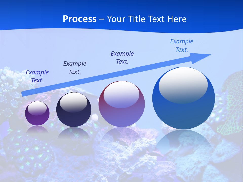 Aquatic Wildlife Depth PowerPoint Template