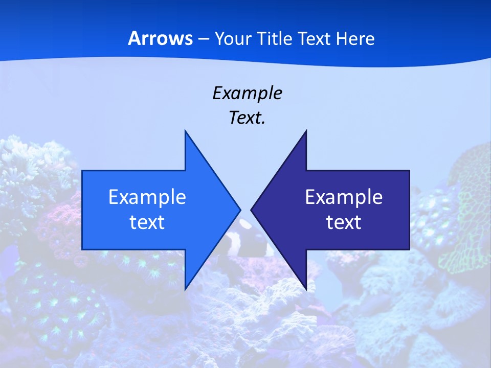 Aquatic Wildlife Depth PowerPoint Template