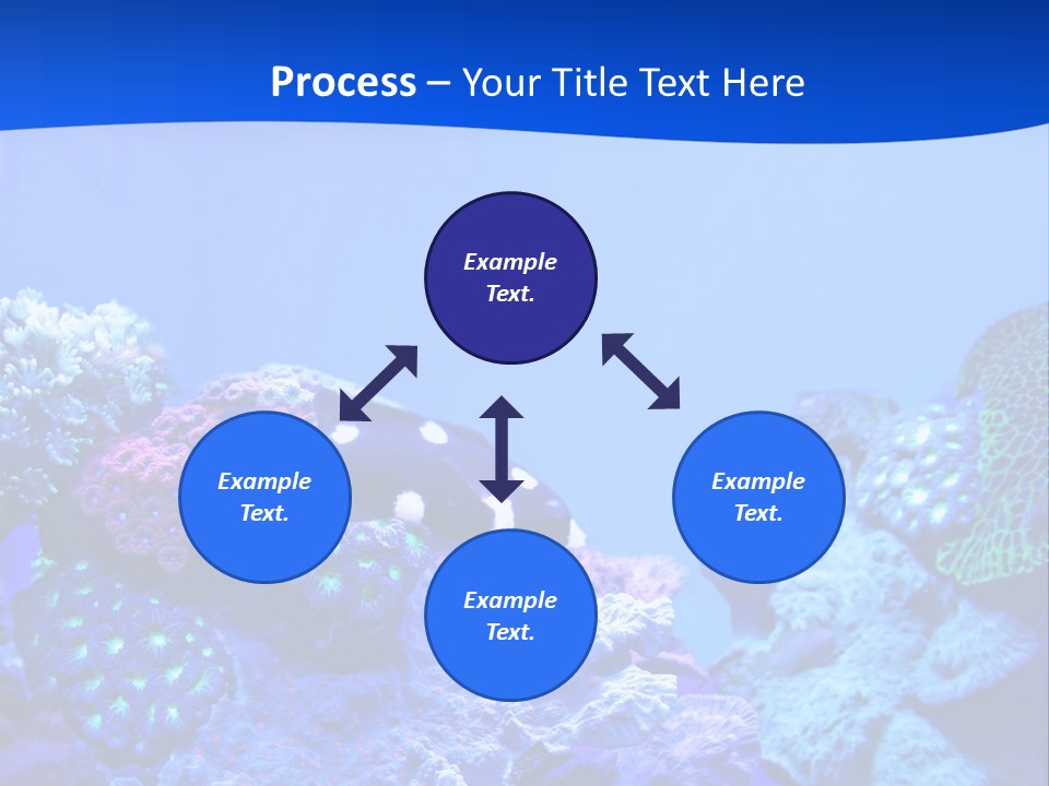 Aquatic Wildlife Depth PowerPoint Template