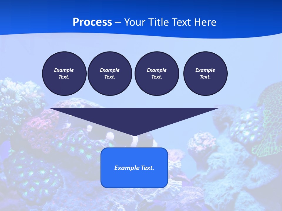 Aquatic Wildlife Depth PowerPoint Template