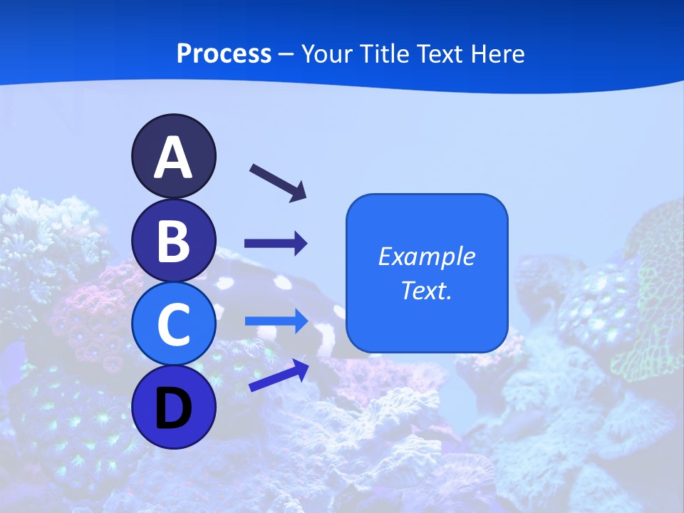 Aquatic Wildlife Depth PowerPoint Template