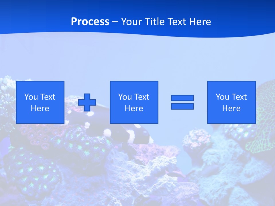 Aquatic Wildlife Depth PowerPoint Template