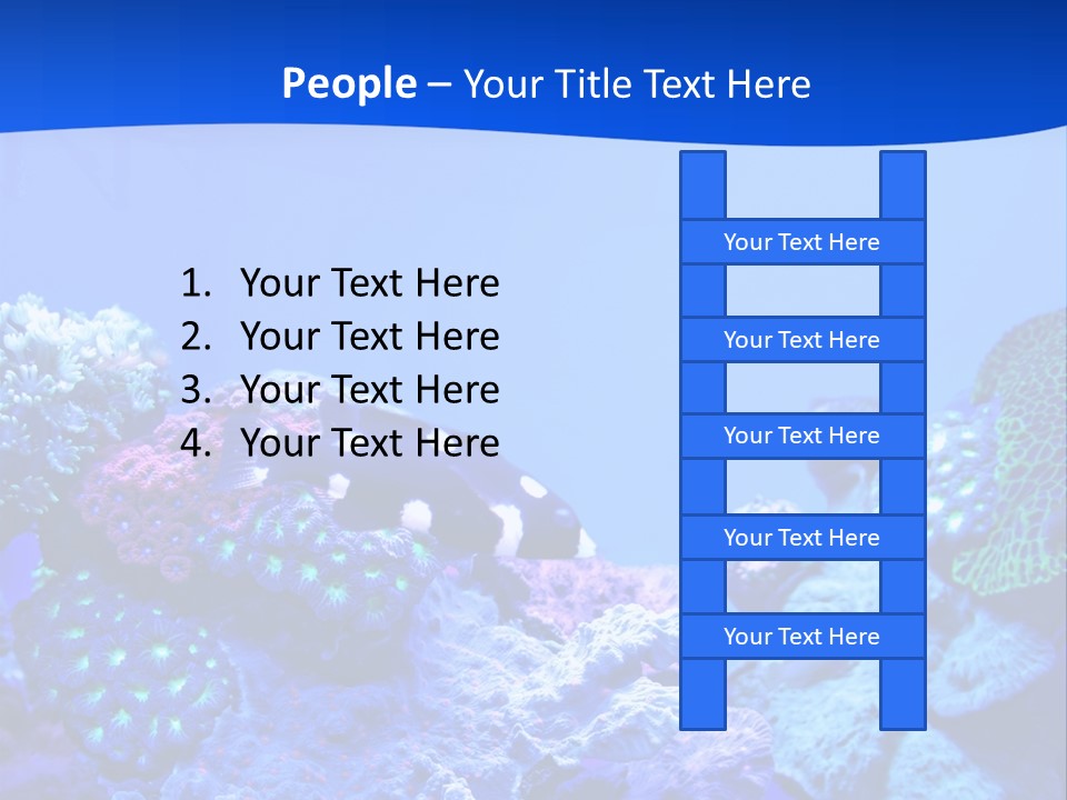 Aquatic Wildlife Depth PowerPoint Template