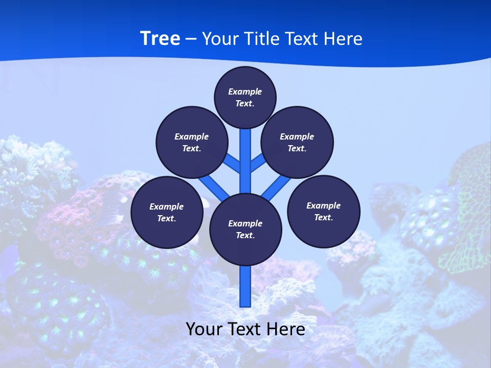 Aquatic Wildlife Depth PowerPoint Template