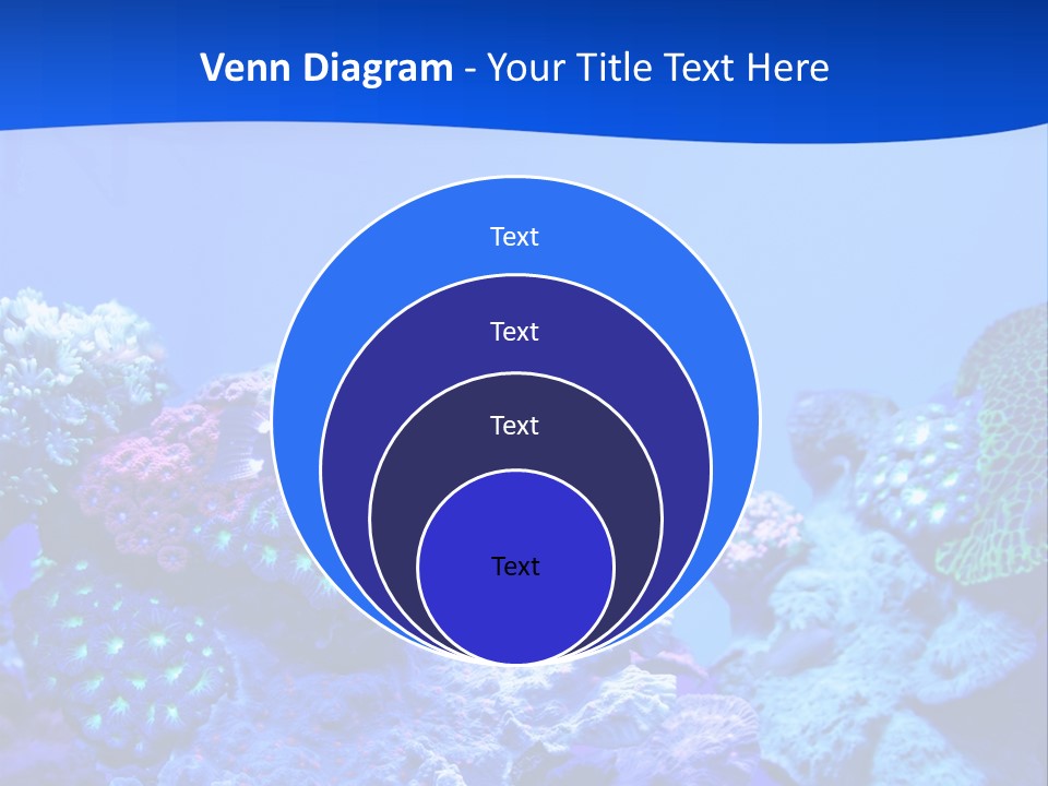 Aquatic Wildlife Depth PowerPoint Template