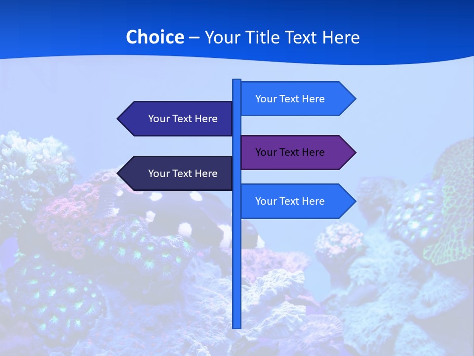 Aquatic Wildlife Depth PowerPoint Template