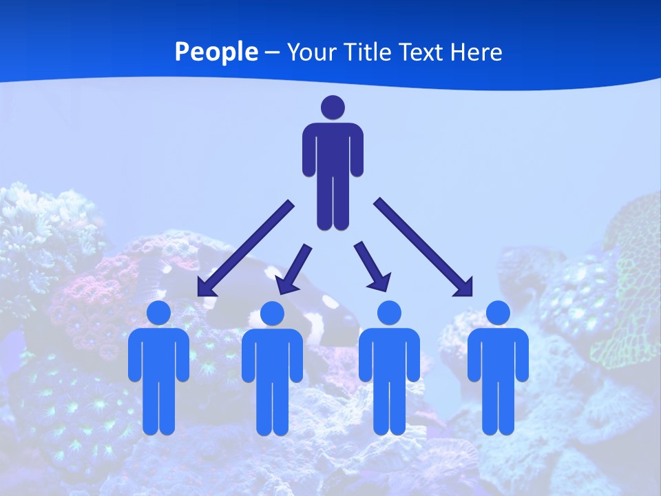 Aquatic Wildlife Depth PowerPoint Template