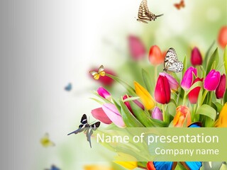 Event Blur Red PowerPoint Template