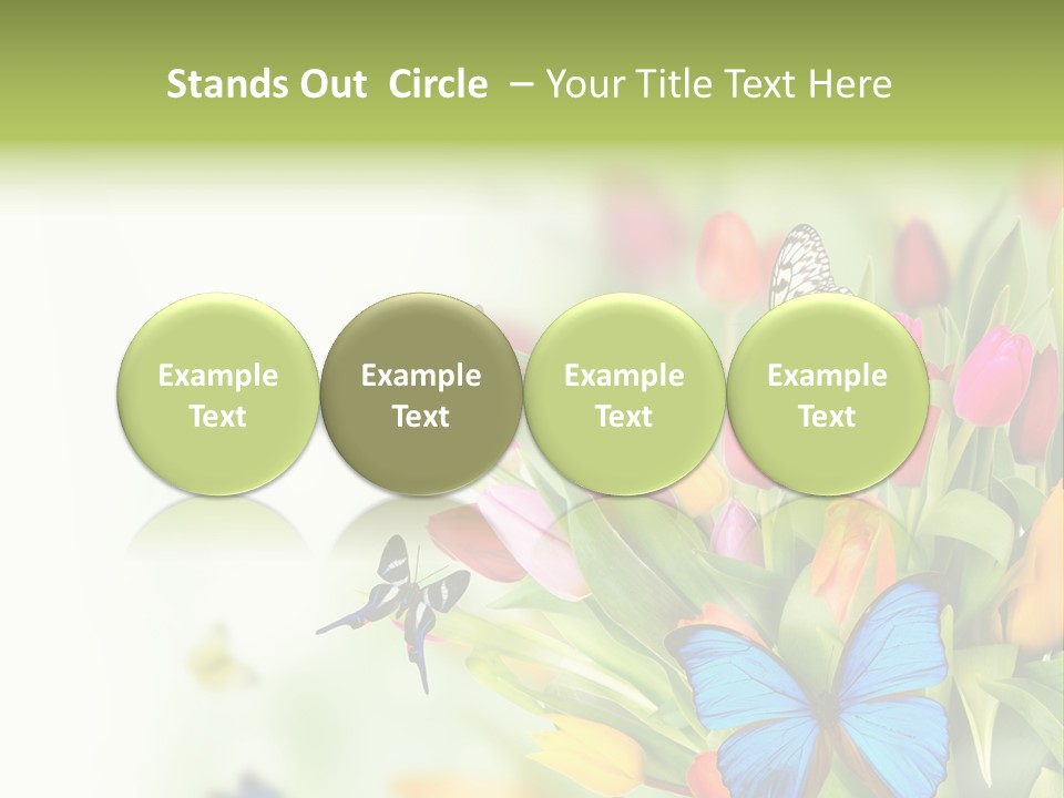 Event Blur Red PowerPoint Template