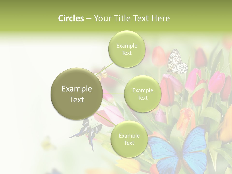 Event Blur Red PowerPoint Template