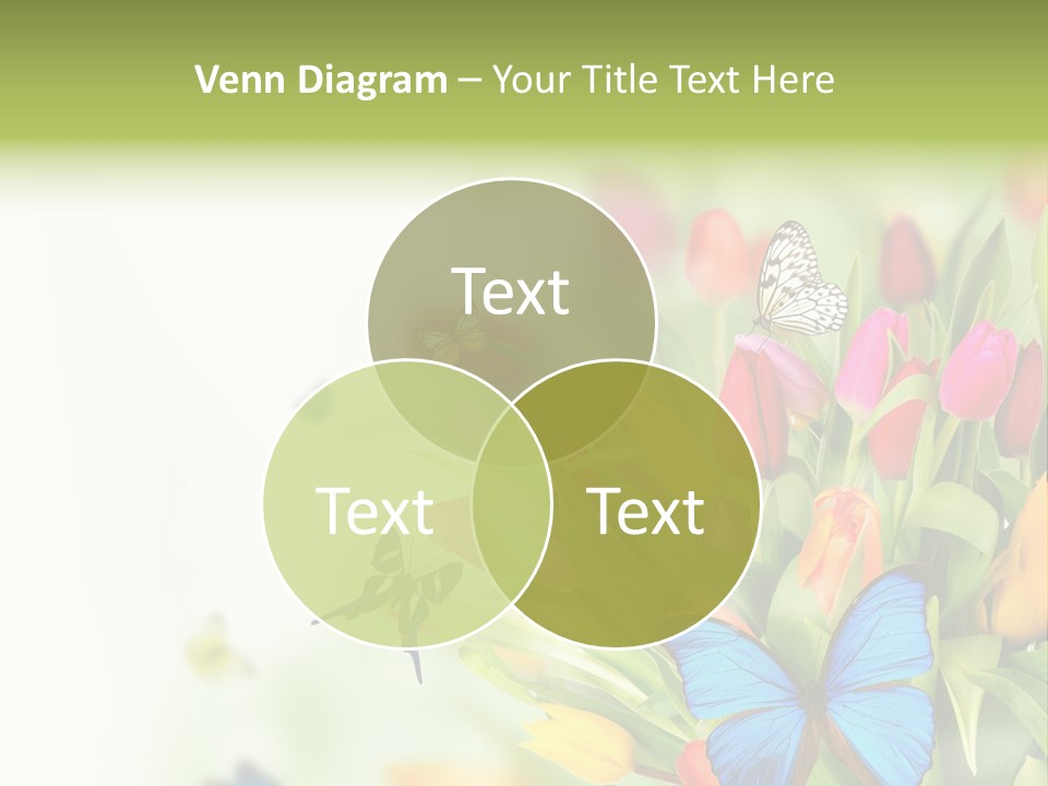 Event Blur Red PowerPoint Template