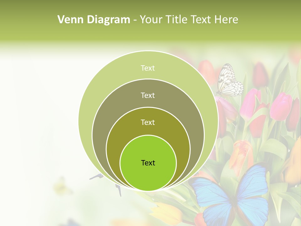 Event Blur Red PowerPoint Template