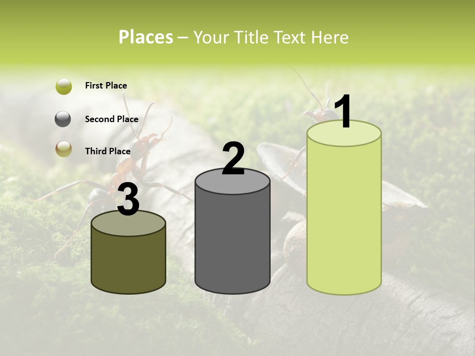 Car Way Rural PowerPoint Template