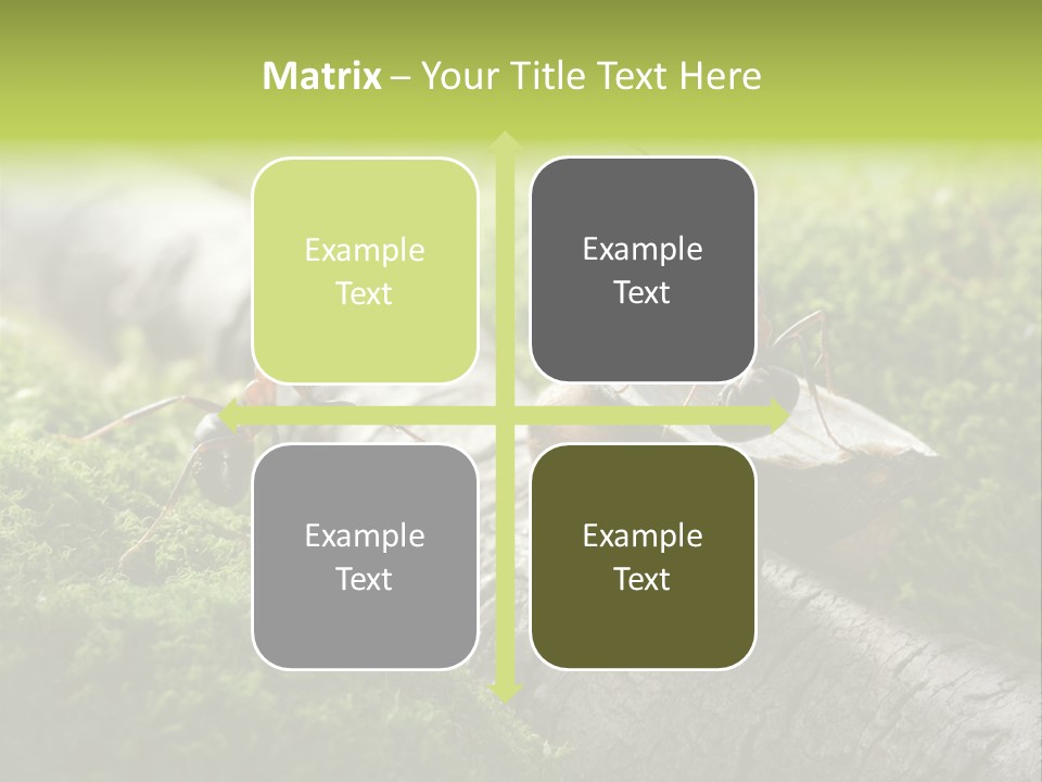 Car Way Rural PowerPoint Template