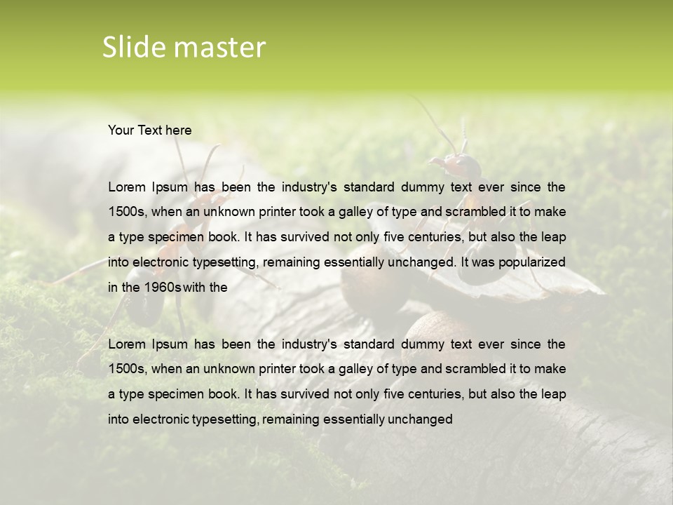 Car Way Rural PowerPoint Template