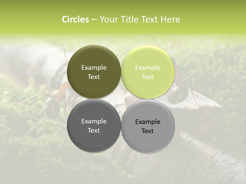 Car Way Rural PowerPoint Template