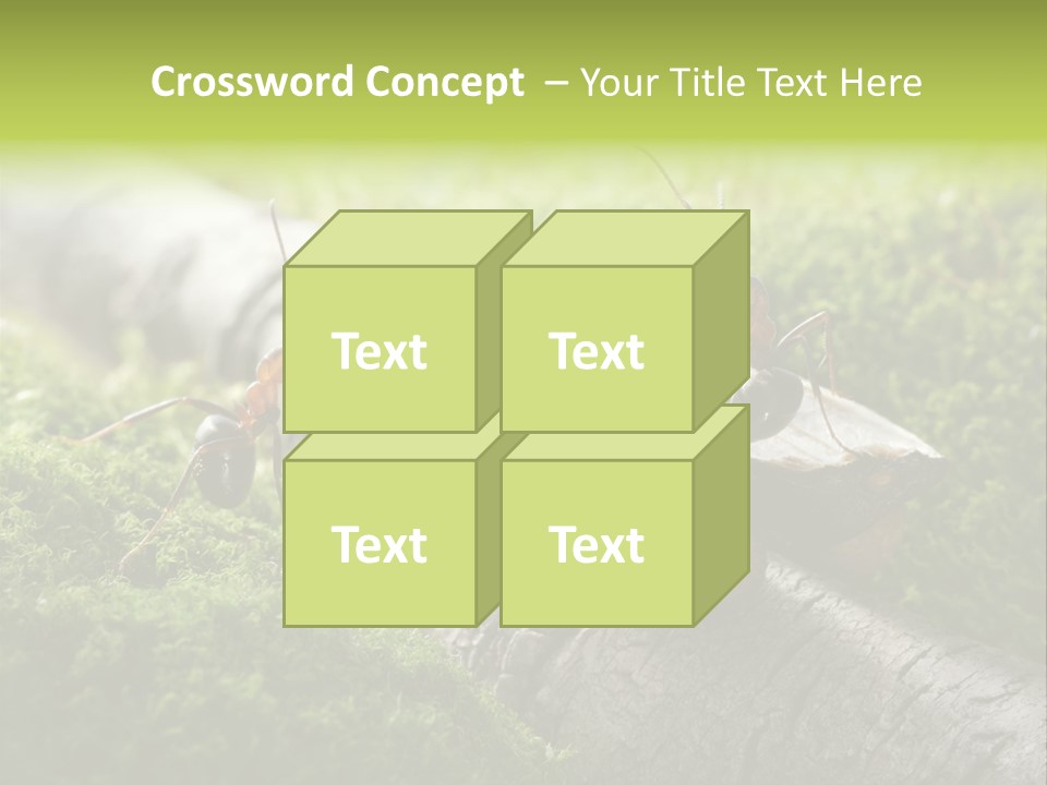 Car Way Rural PowerPoint Template