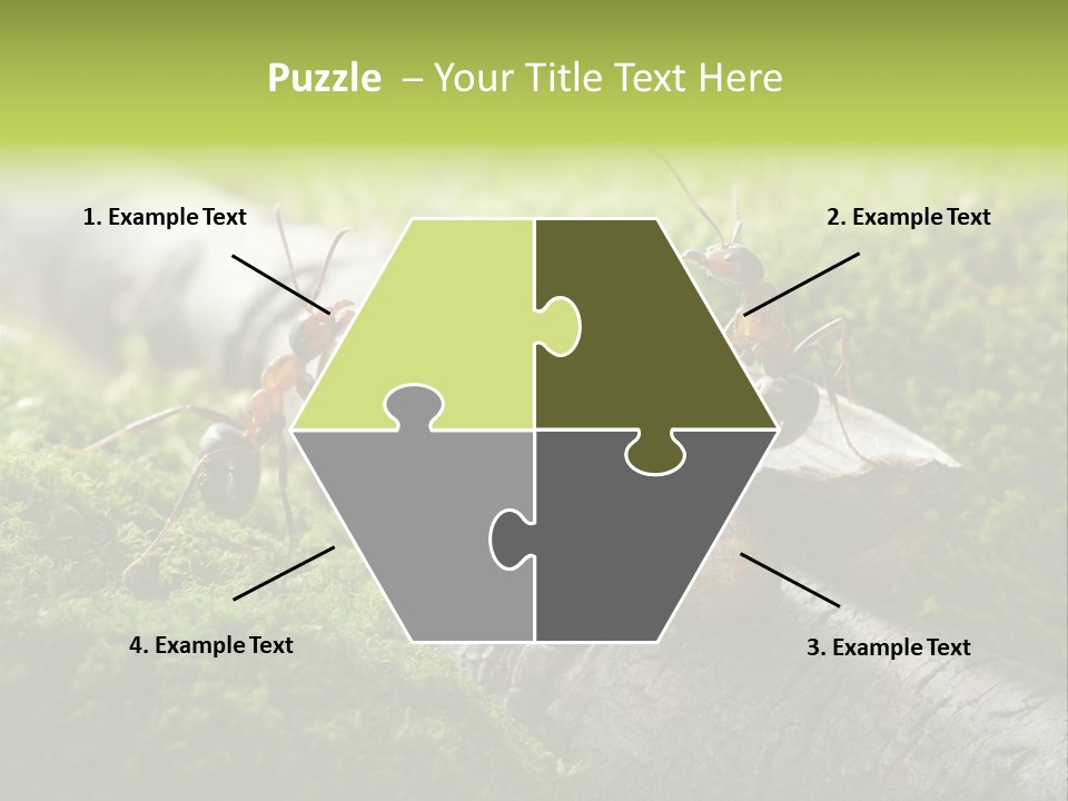 Car Way Rural PowerPoint Template