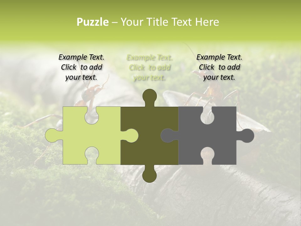 Car Way Rural PowerPoint Template